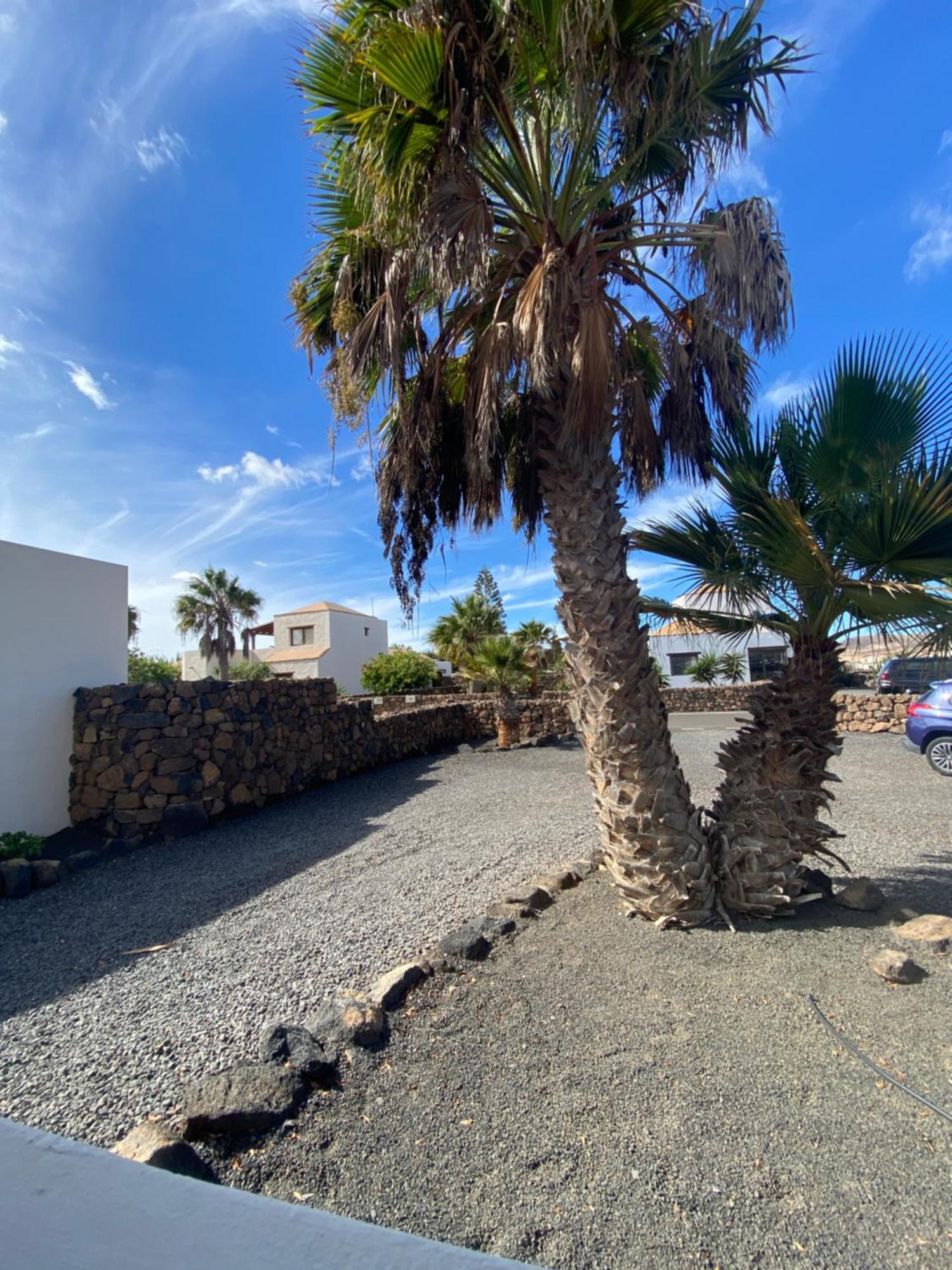 לאחארס Villa De Suenos מראה חיצוני תמונה